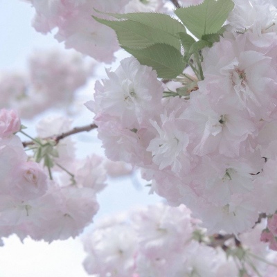 Furry圈创作干货Furry群